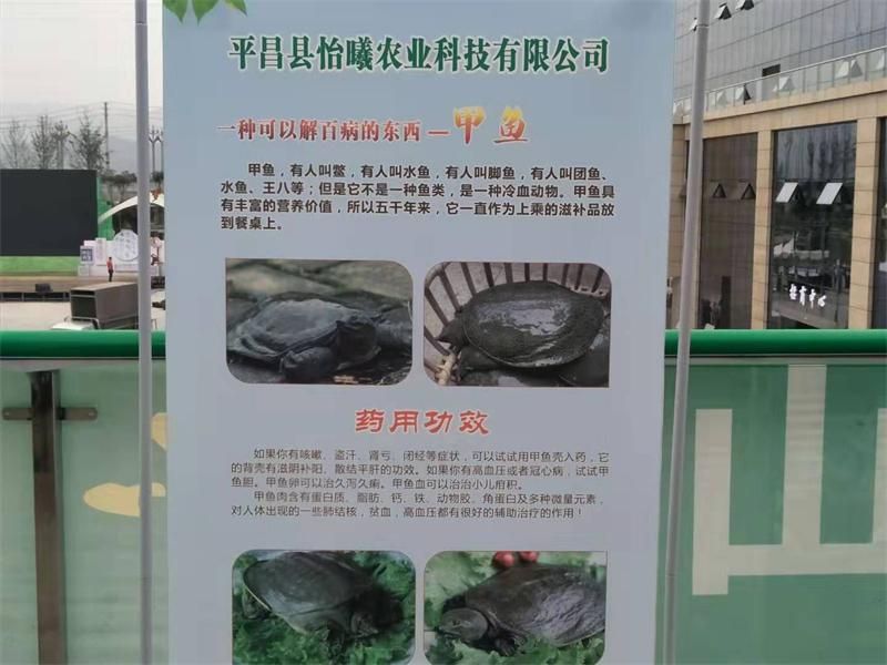 怡司.JPG