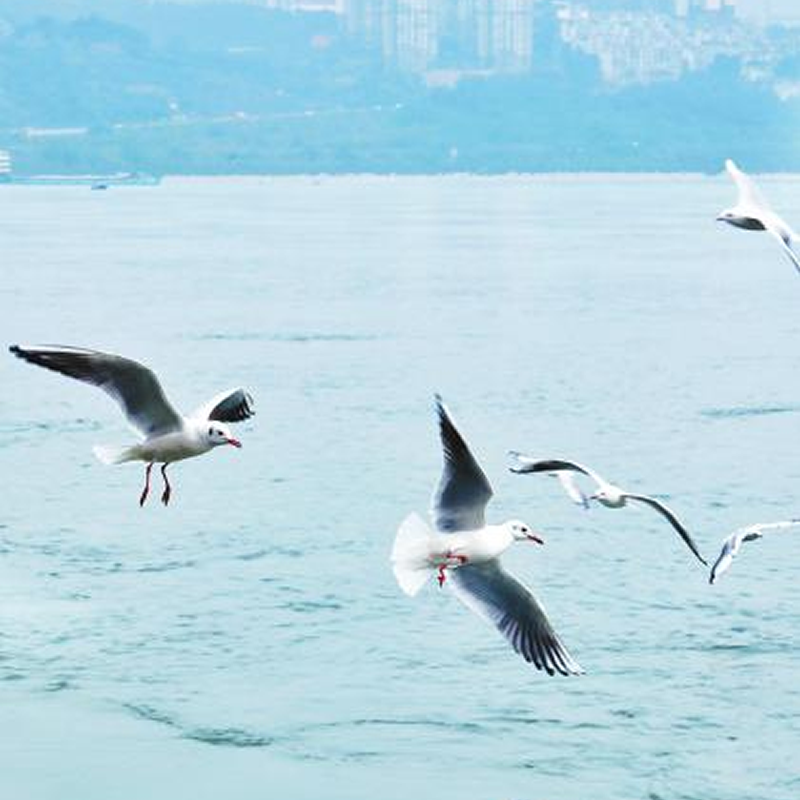 1637286014669177.png image.png