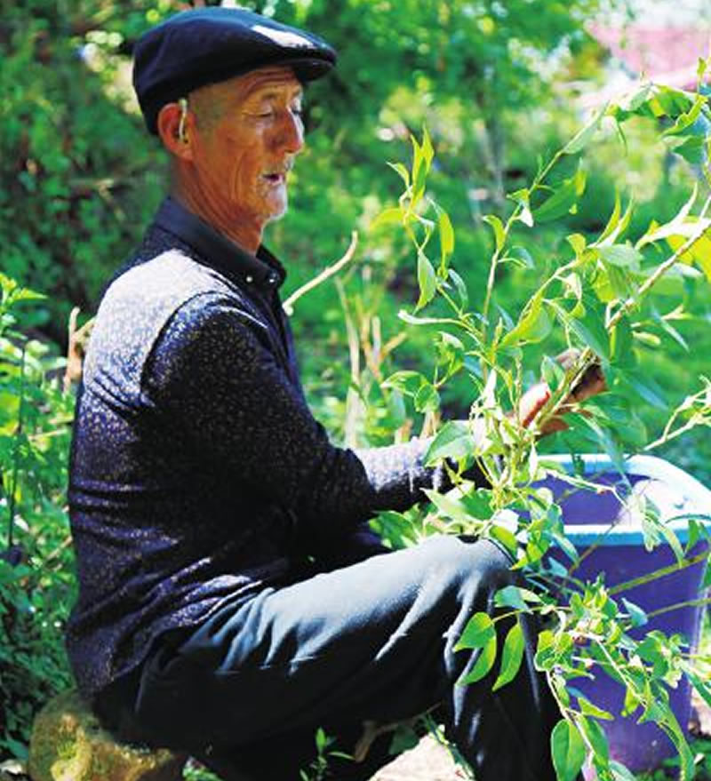 未命名-1.jpg