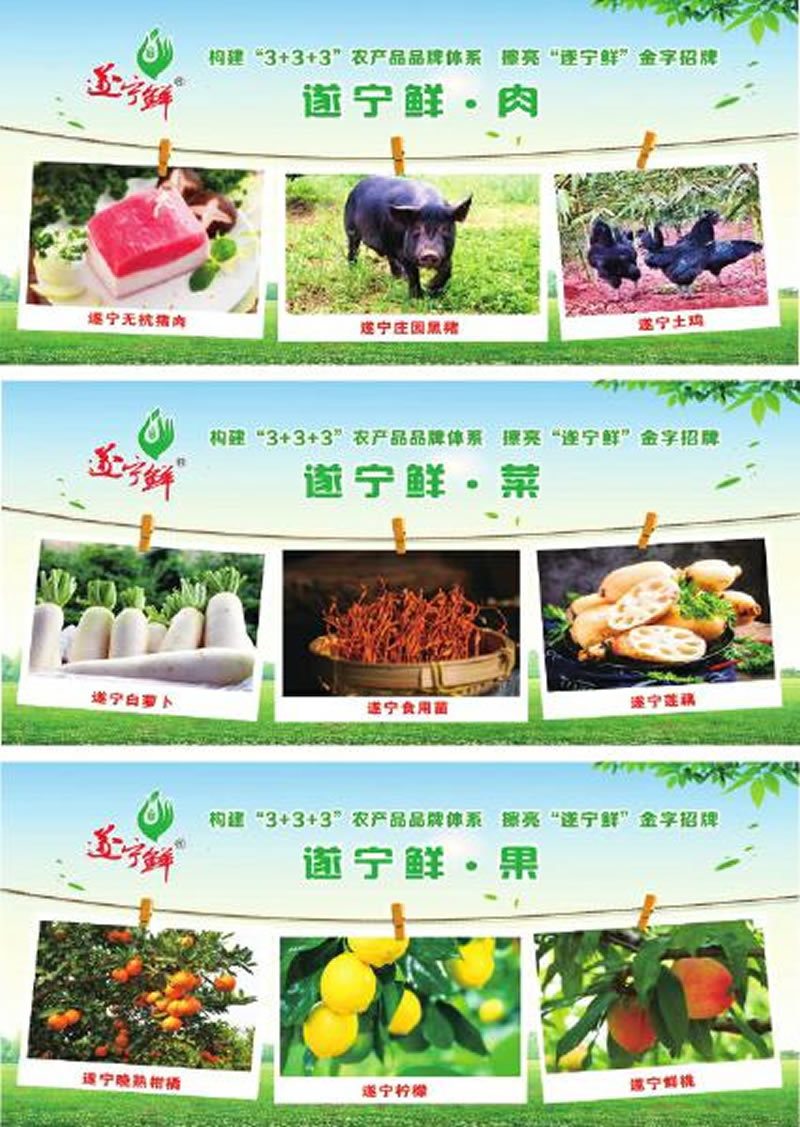 未命名-1.jpg