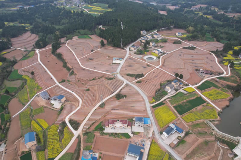 未命名-1.jpg