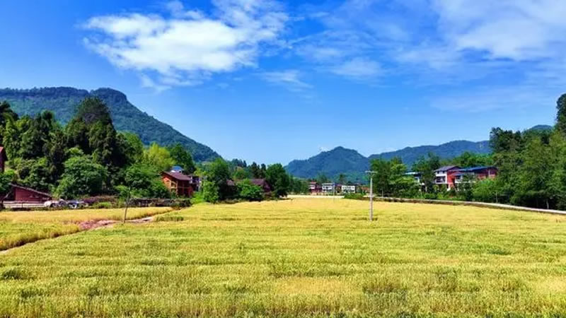 未命名-1.jpg
