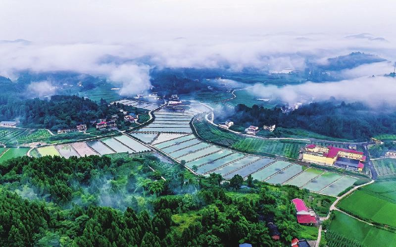 未命名-1.jpg