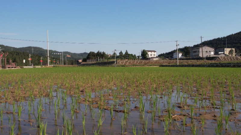 未命名-1.jpg