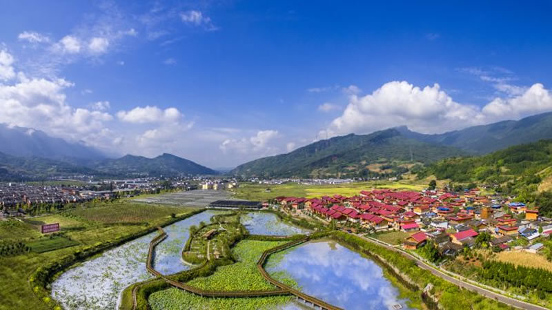 未命名-1.jpg