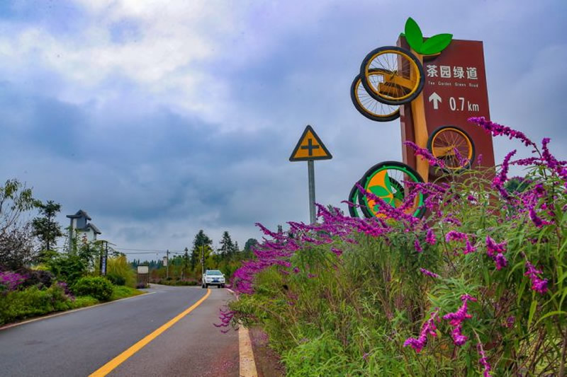 未命名-1.jpg