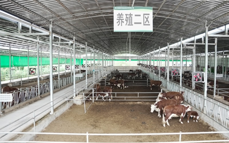 未命名-1.jpg