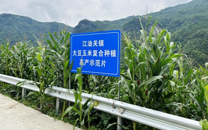 未命名-1.jpg