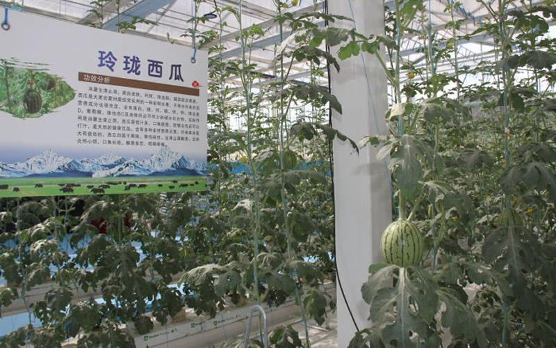 未命名-1.jpg