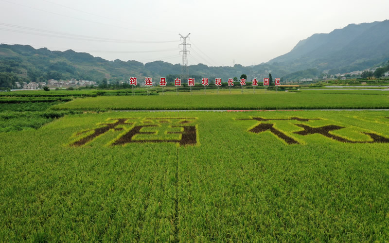 未命名-1.jpg