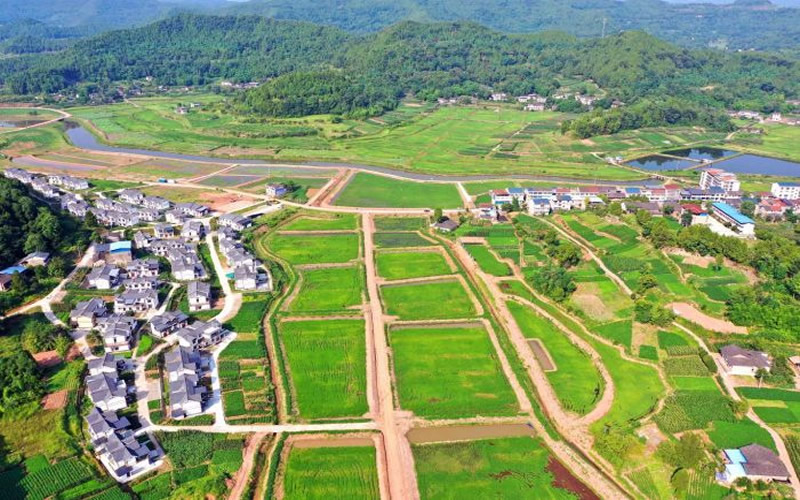 未命名-1.jpg