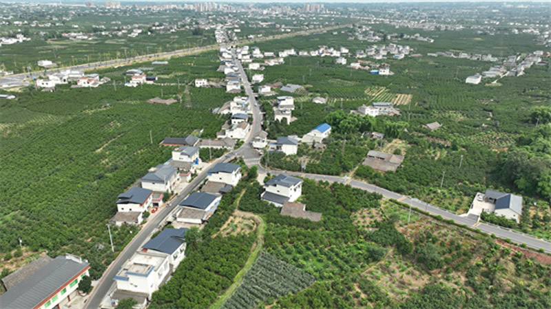 未命名-1.jpg