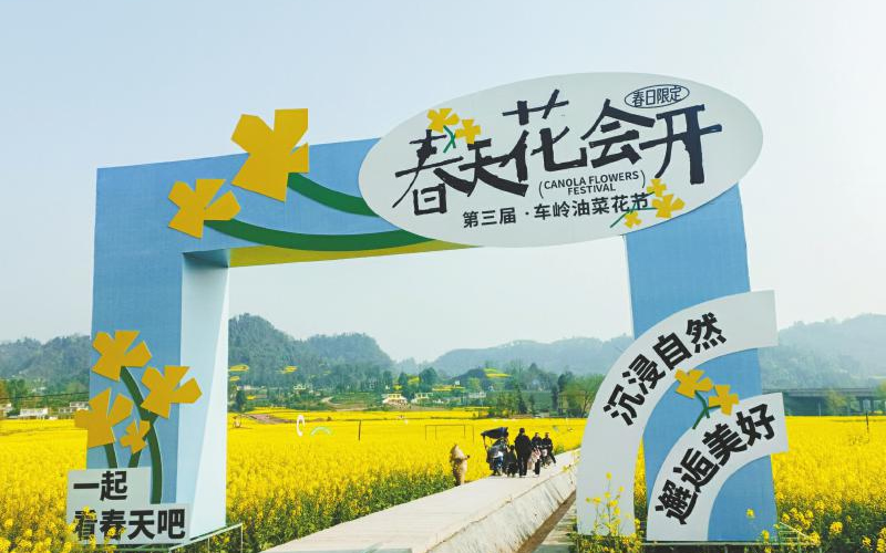 未命名-1.jpg