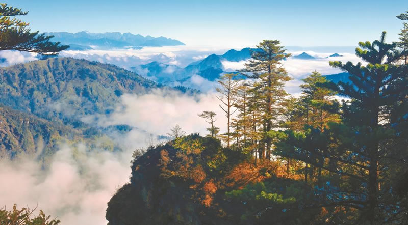 未命名-1.jpg