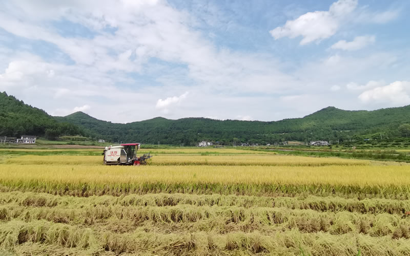 未命名-1.jpg