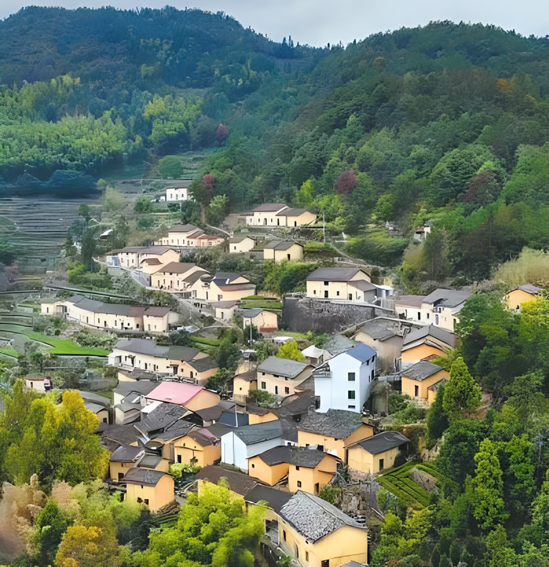 未命名-1.jpg