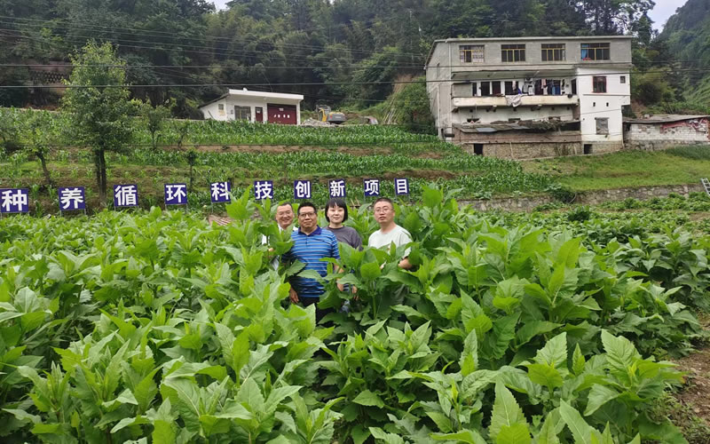 未命名-1.jpg