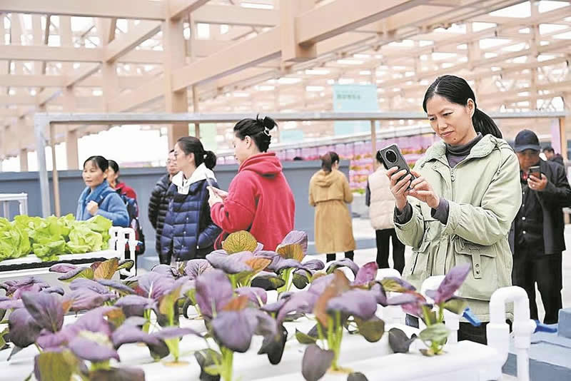 未命名-1.jpg
