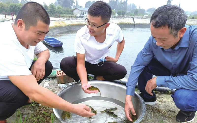 未命名-1.jpg