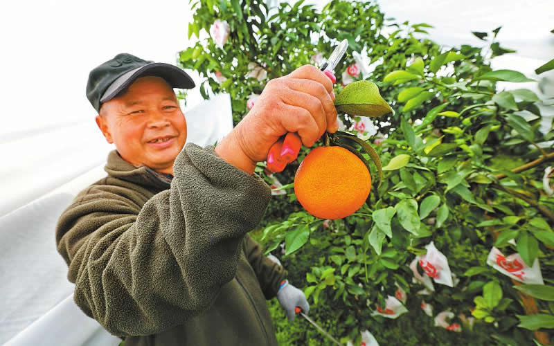 未命名-1.jpg