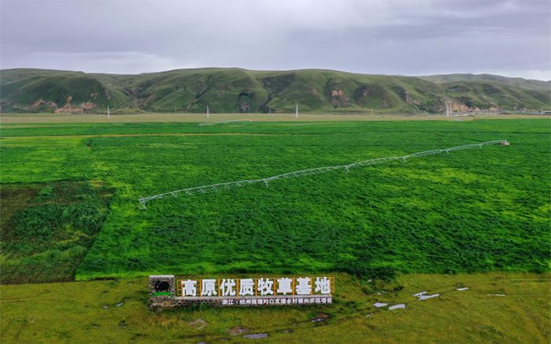 未命名-1.jpg