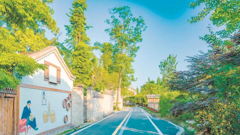 未命名-1.jpg