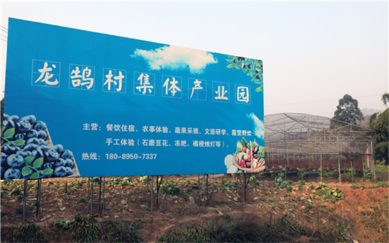未命名-1.jpg