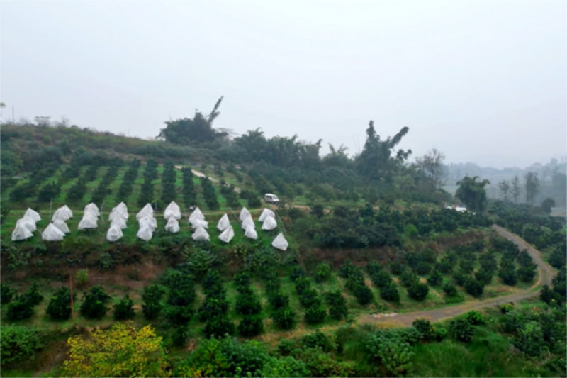 未命名-1.jpg