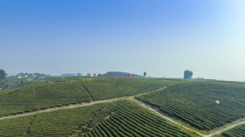 未命名-1.jpg