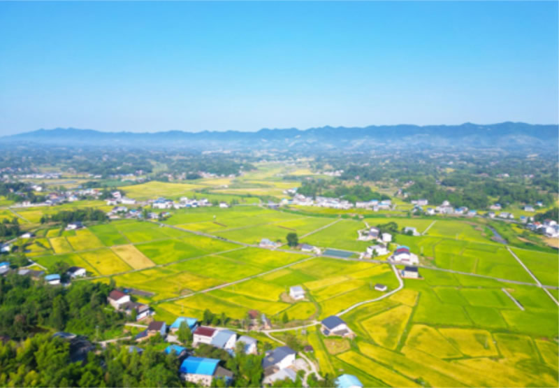 未命名-1.jpg