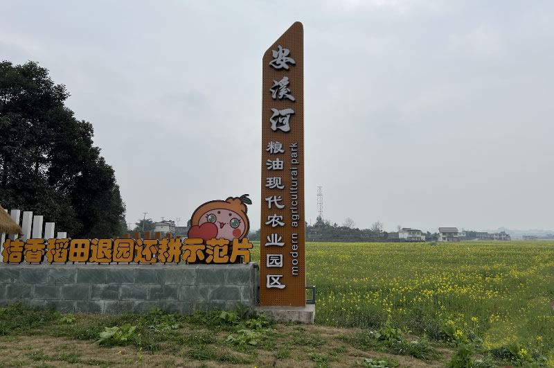 未命名-1.jpg