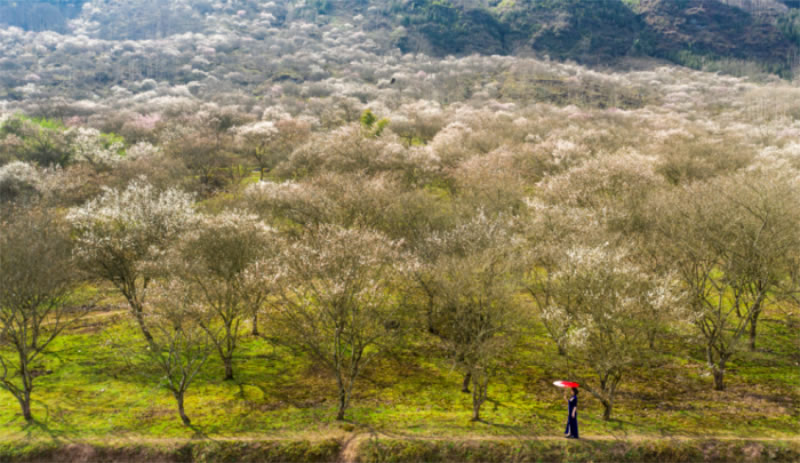 未命名-1.jpg