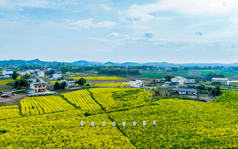 未命名-1.jpg