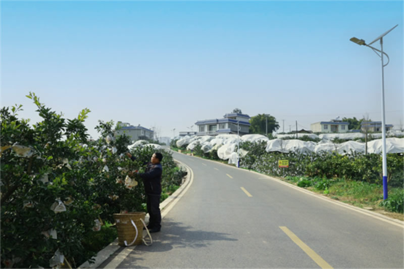 未命名-1.jpg