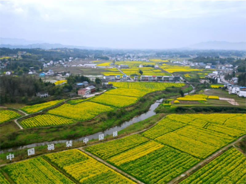 未命名-1.jpg
