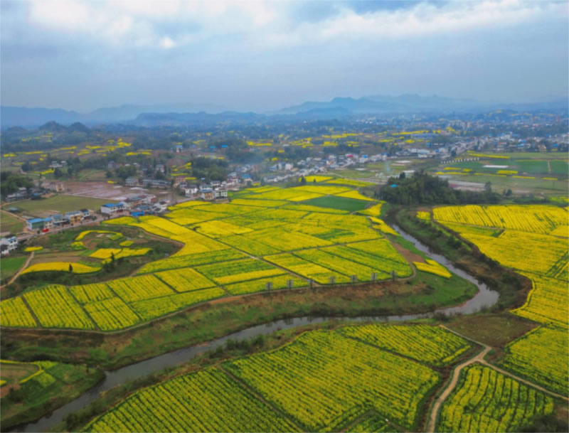 未命名-1.jpg