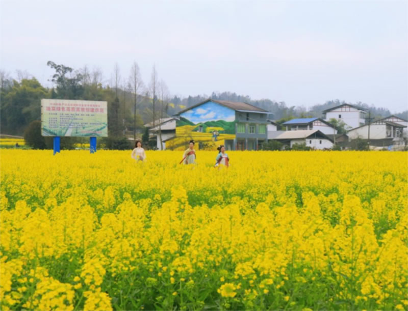 未命名-1.jpg