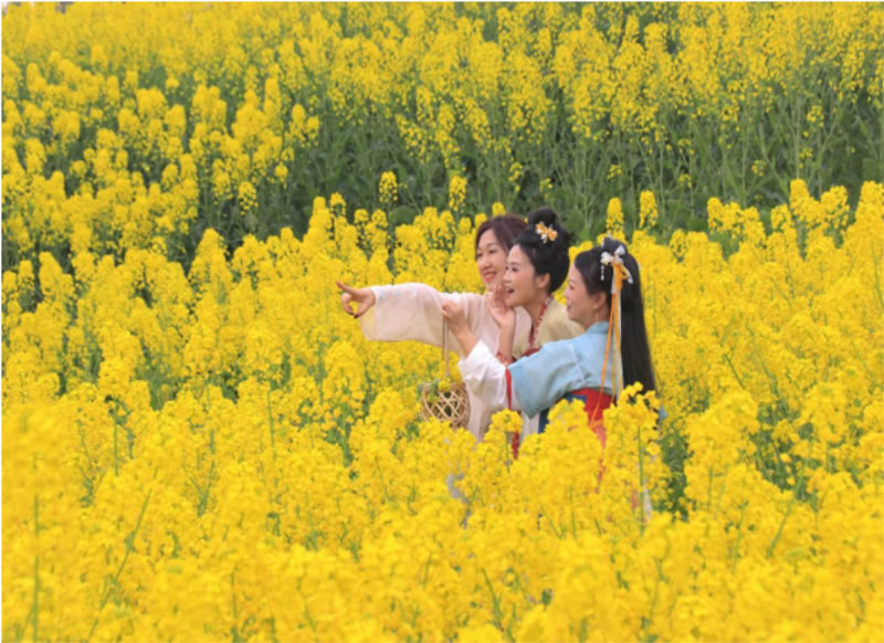 未命名-1.jpg