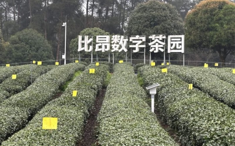 未命名-1.jpg
