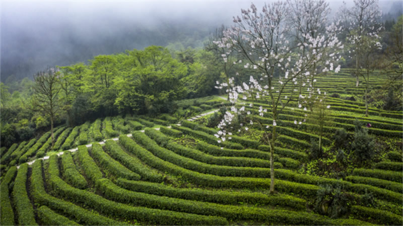 未命名-1.jpg