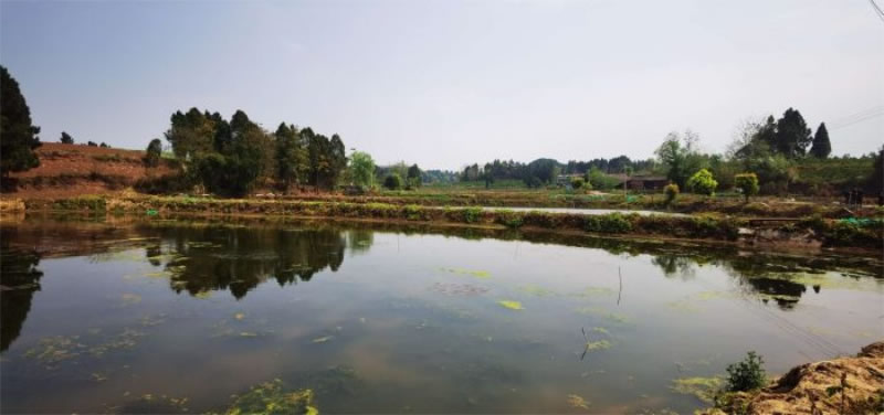 未命名-1.jpg