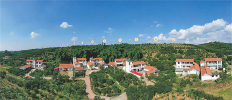 未命名-1.jpg