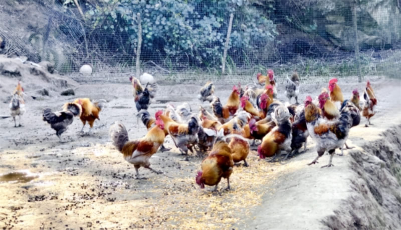 未命名-1.jpg