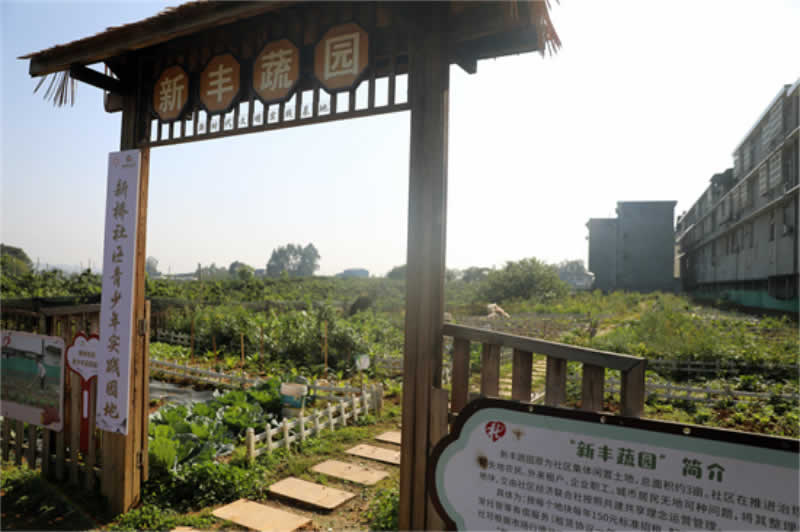 未命名-1.jpg