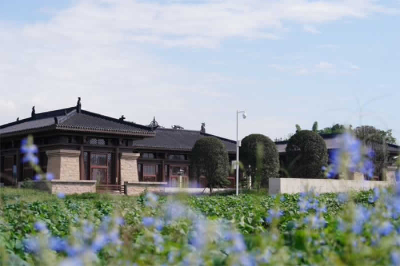 未命名-1.jpg