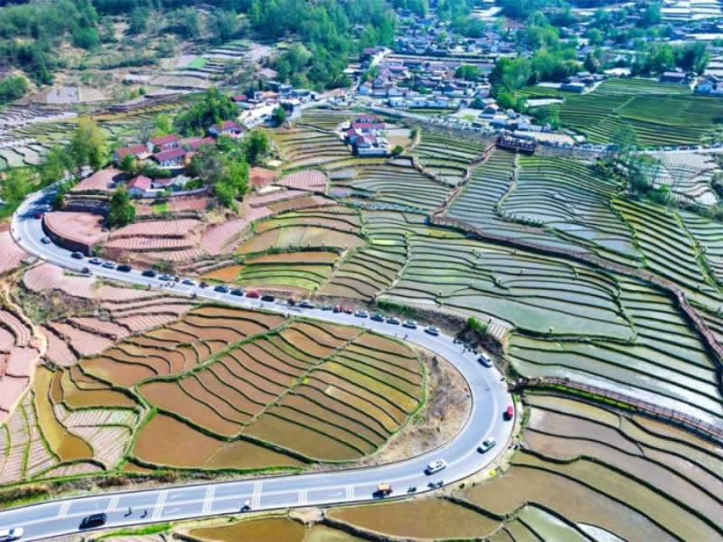 未命名-1.jpg