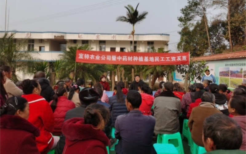 未命名-1.jpg