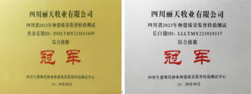 未命名-1.jpg