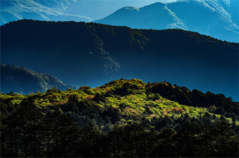 未命名-1.jpg