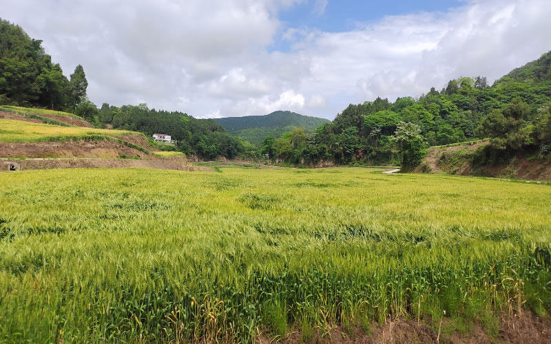 未命名-1.jpg